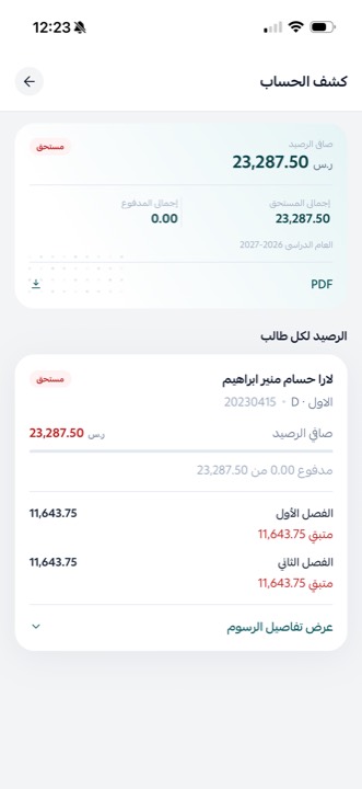 كشف الحساب: صافي الرصيد وتفصيل الفصلين